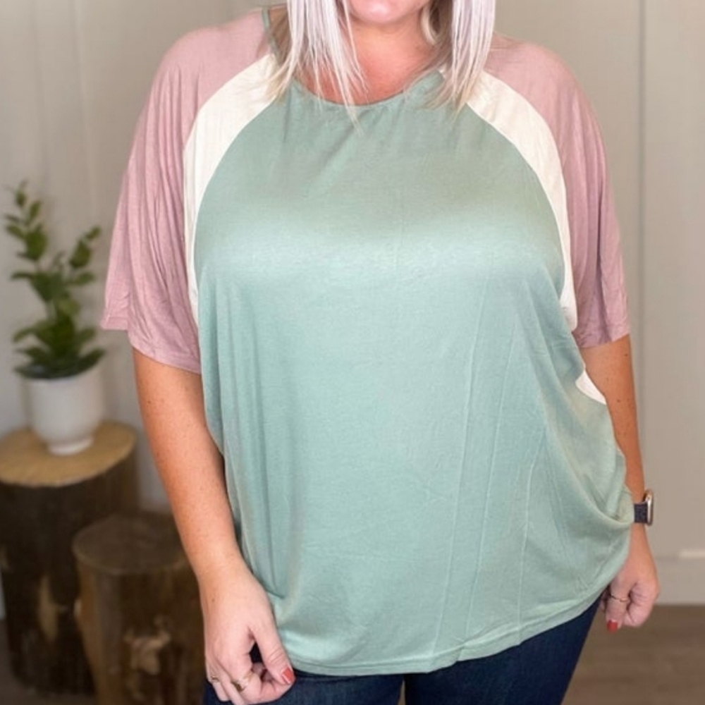 NWOT Heyson 1X Pastel Colorblock